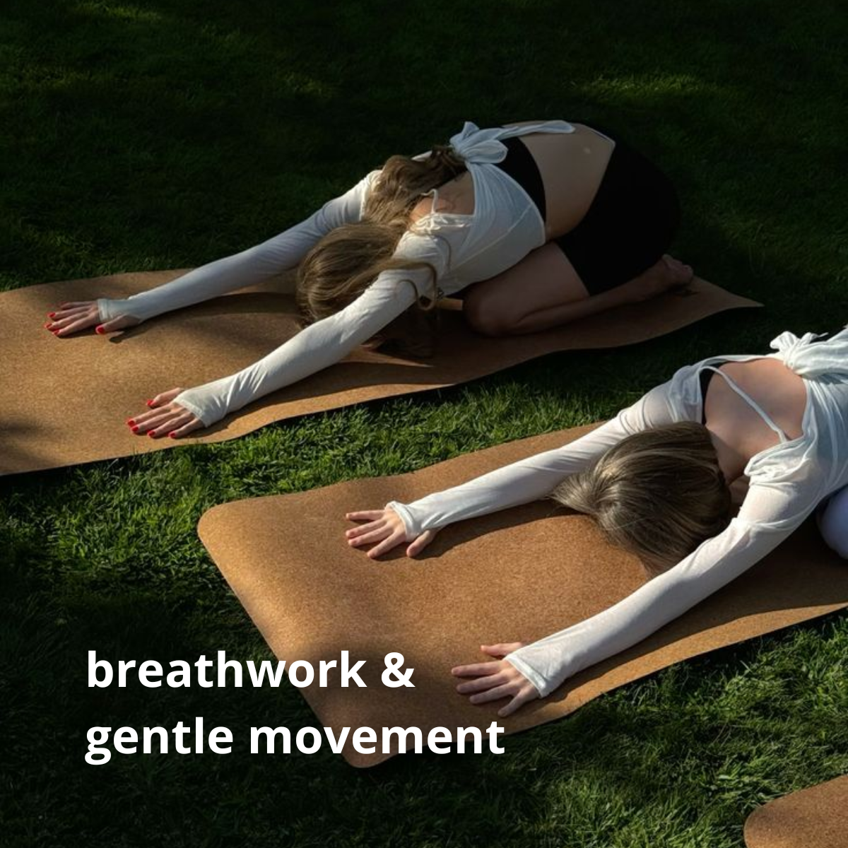 RE/SET Your Nervous System | AUG 8