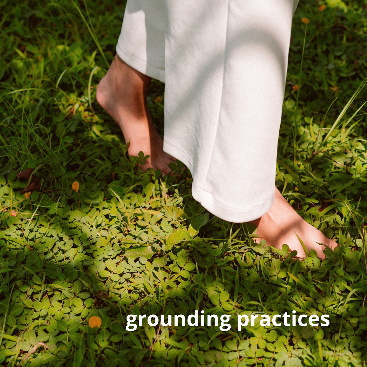 RE/SET Your Nervous System | AUG 8